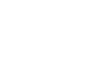 Aedes